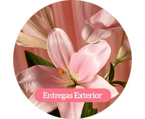 Entrega no Exterior