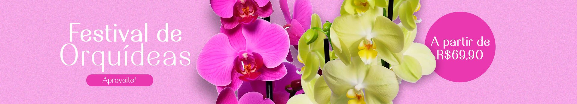 Promo Orquídeas a partir de 69,90 - Super