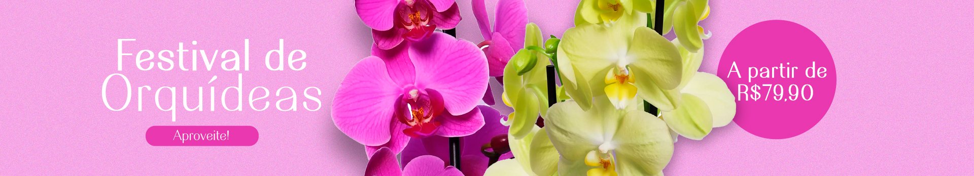 Promo Orquídeas a partir de 79,90 - Super