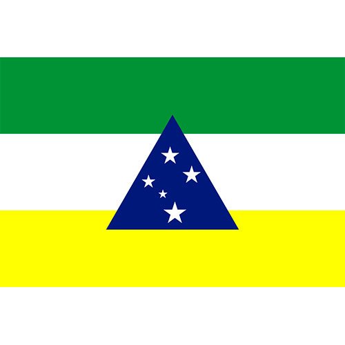 Bandeira da Cidade de Tefe-AM
