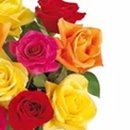 Brilhantes Rosas Coloridas no Vaso