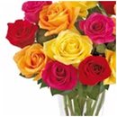 Brilhantes Rosas Coloridas no Vaso