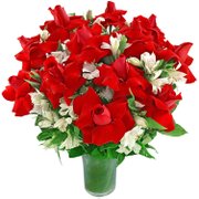 Expressão de Amor Premium