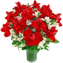 Expressão de Amor Premium