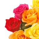 Ramalhete de 12 Rosas Coloridas