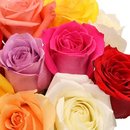 Surpresa de Rosas Coloridas no Vaso