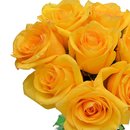 Surpresa de Rosas Amarelas no Vaso