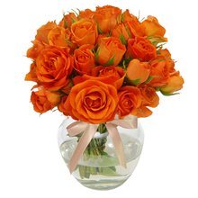 Brisa de Rosas Orange no Vaso