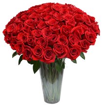 100 Rosas Colombianas no Vaso