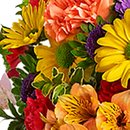 Luxuoso Mix de Flores Silvestres