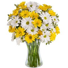 Luxuoso Mix de Margaridas