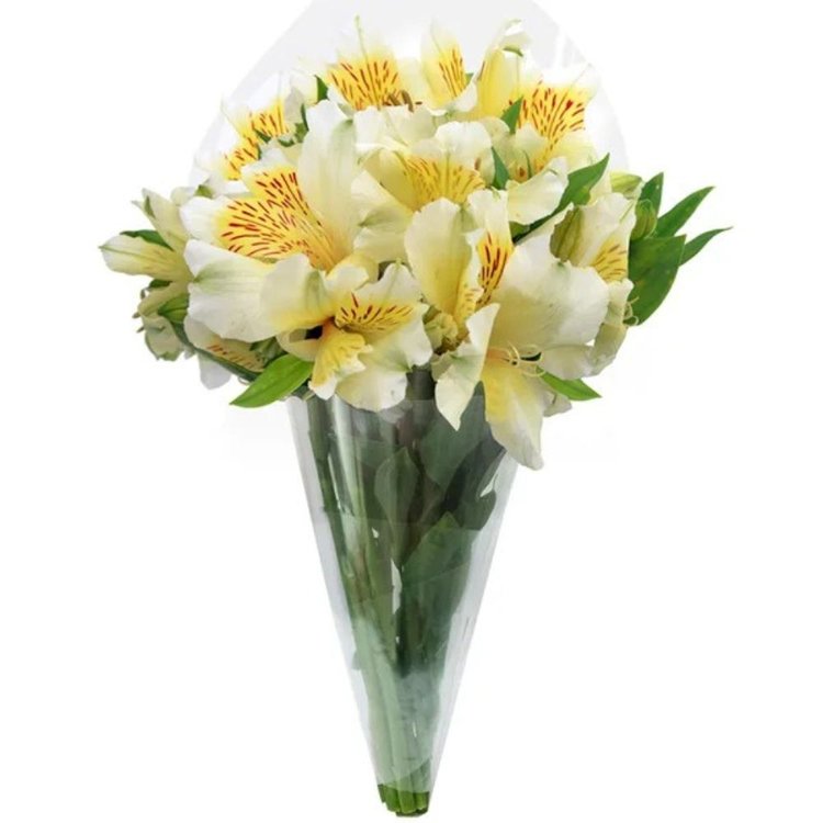 Buquê de Astromélias Brancas com 10 unidades