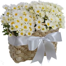 Piquenique de Margaridinhas Brancas