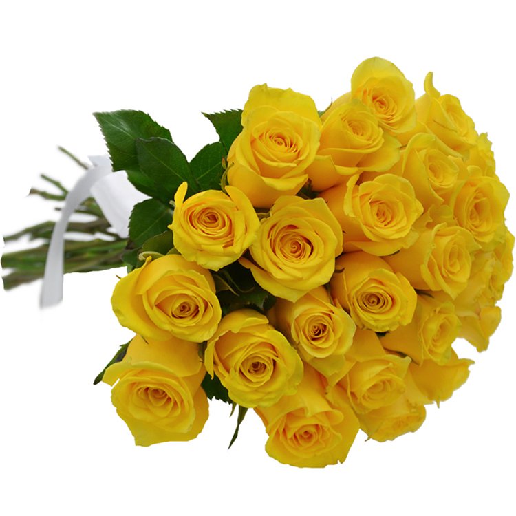 Buquê de 24 Rosas Amarelas