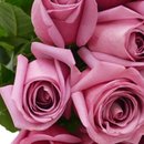Buquê de 18 Rosas Lilás