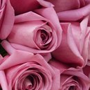 Buquê de 18 Rosas Lilás