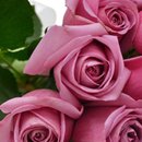 Buquê de 30 Rosas Lilás