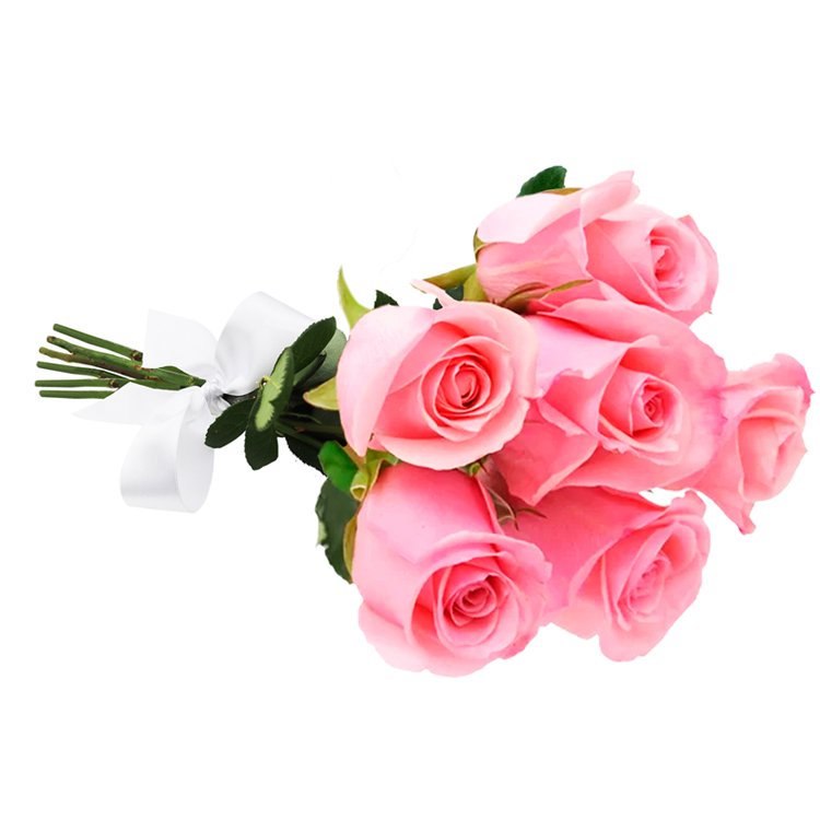 Buquê de 6 Rosas Cor de Rosa | Cestas Michelli