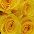 Buquê de 12 Rosas Amarelas