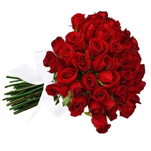 Featured image of post Rosas Vermelhas Fotos De Flores Para Whatsapp Ramalhete colorido da flor das rosas vermelhas no fundo branco grupo grande das