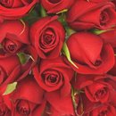 Buquê de 36 Rosas Vermelhas