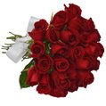 Buquê de 24 Rosas Vermelhas