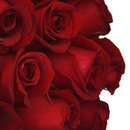 Buquê de 24 Rosas Vermelhas