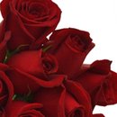 Buquê de 12 Rosas Vermelhas