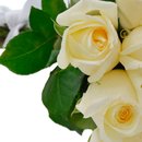 Buquê de 12 Rosas Brancas