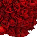 Buquê de 50 Rosas Vermelhas