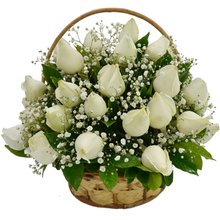 Cesta de 24 Rosas Brancas