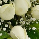 Cesta de 24 Rosas Brancas