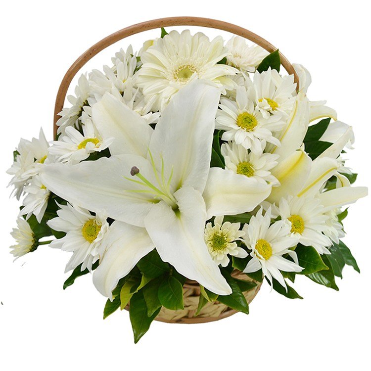 Cesta De Margaridas E Lirios Brancos Cestas Michelli