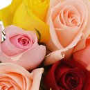 Buquê de 36 Rosas Coloridas