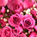 Declaração de Sentimentos