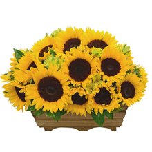 Floratta de Girassóis