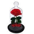 A Rosa Encantada