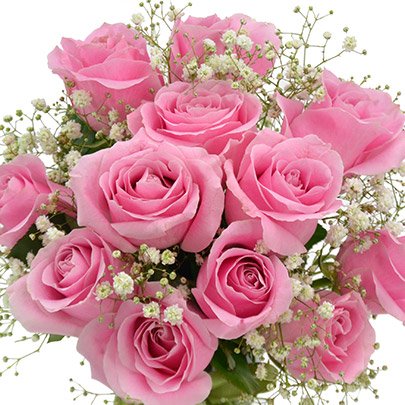 Resultado de imagem para rosas