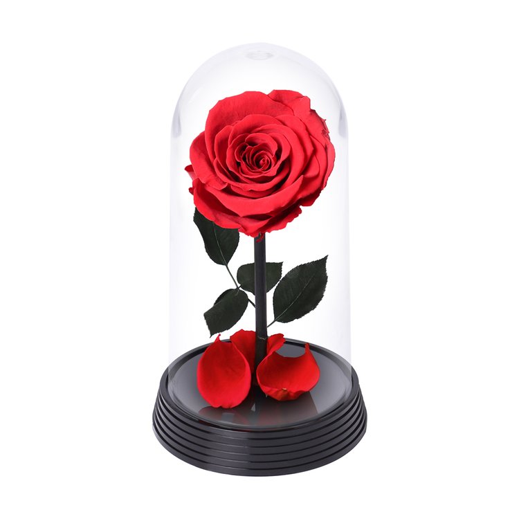 A Bela Rosa Encantada Vermelha | Cestas Michelli