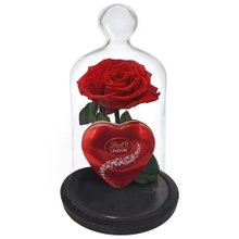 A Rosa Encantada Vermelha e Coração Lindt 50g