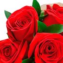 Buquê de 8 Rosas Vermelhas e Pelúcia