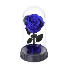 A Bela Rosa Encantada Azul