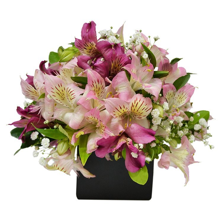 Resultado de imagem para flores"