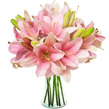 Luxuosos Lírios Cor-de-Rosa