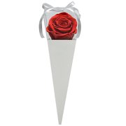 Cone Branco de Rosa Encantada Vermelha