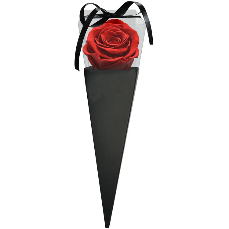 Cone Preto de Rosa Encantada Vermelha