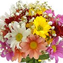 Delicado Mix de Flores Feliz Aniversário
