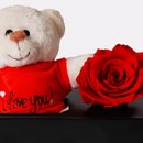 Caixa de Presente Rosa Encantada e Urso Dodói