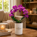 Orquídea Phalaenopsis Pink em Arco