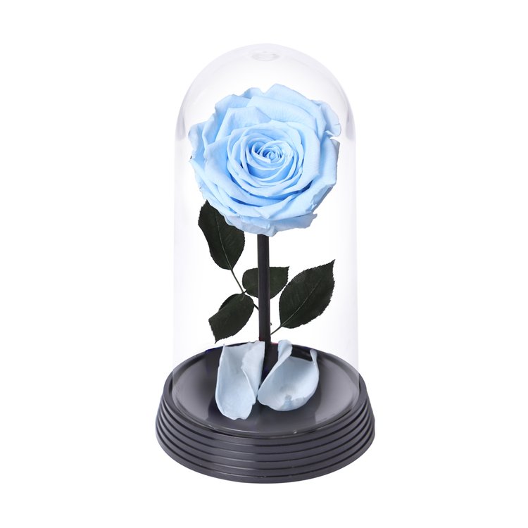 A Bela Rosa Encantada Azul Claro | Cestas Michelli